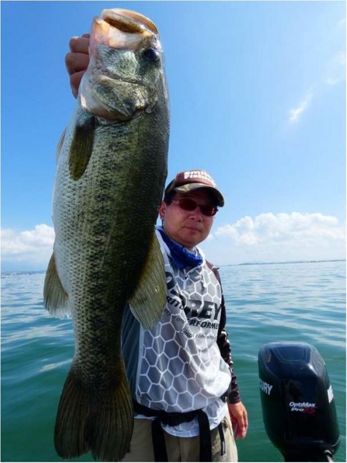 truth  ブログ写真 2018/07/21