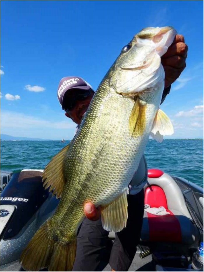 truth  ブログ写真 2018/07/21