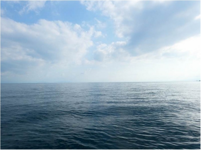 truth  ブログ写真 2018/07/24