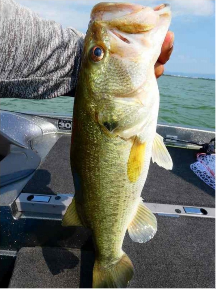 truth  ブログ写真 2018/08/02