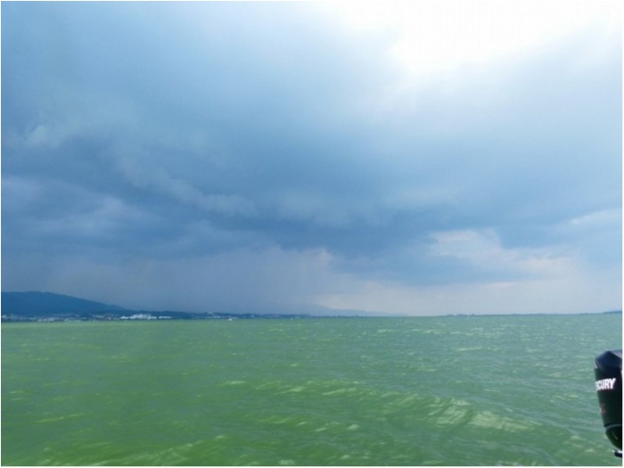 truth  ブログ写真 2018/08/02