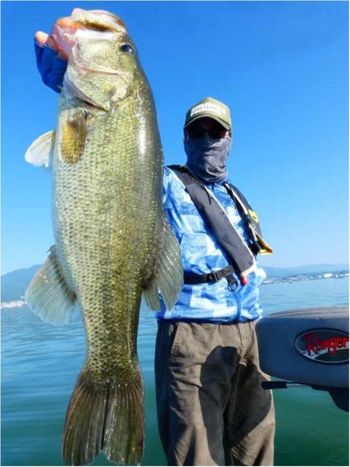 truth  ブログ写真 2018/08/03