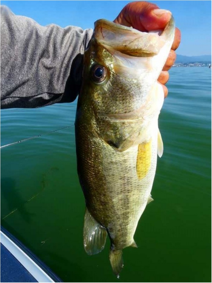 truth  ブログ写真 2018/08/03