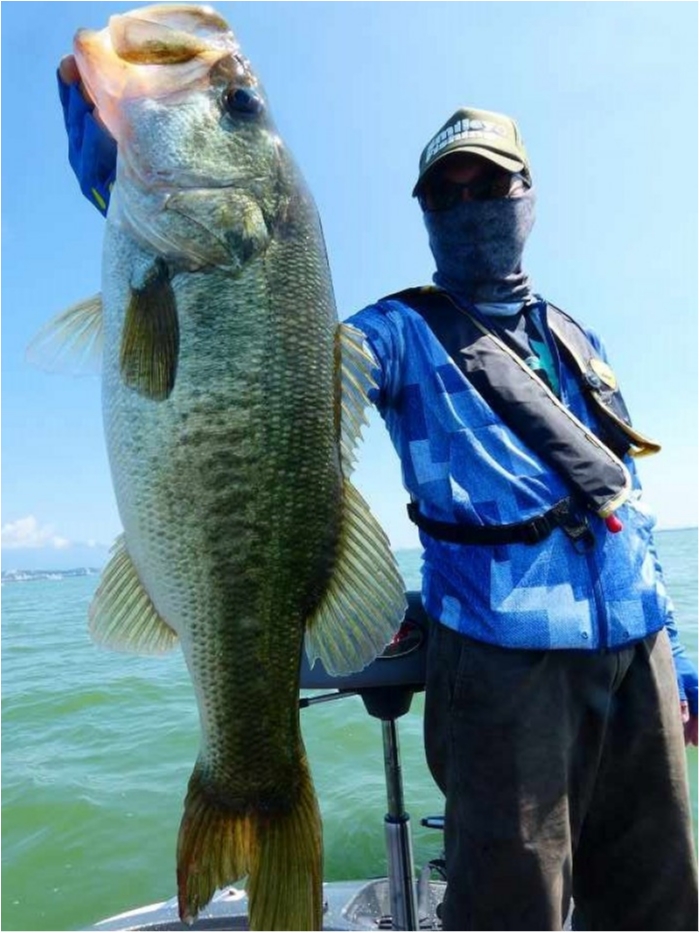 truth  ブログ写真 2018/08/03