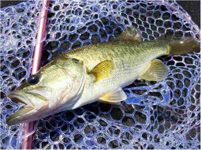 truth  ブログ写真 2018/08/03