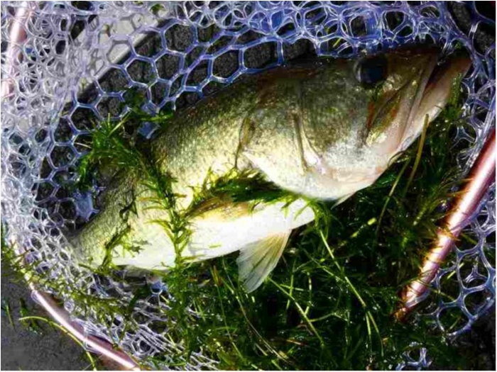 truth  ブログ写真 2018/08/03