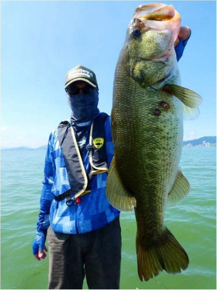 truth  ブログ写真 2018/08/03