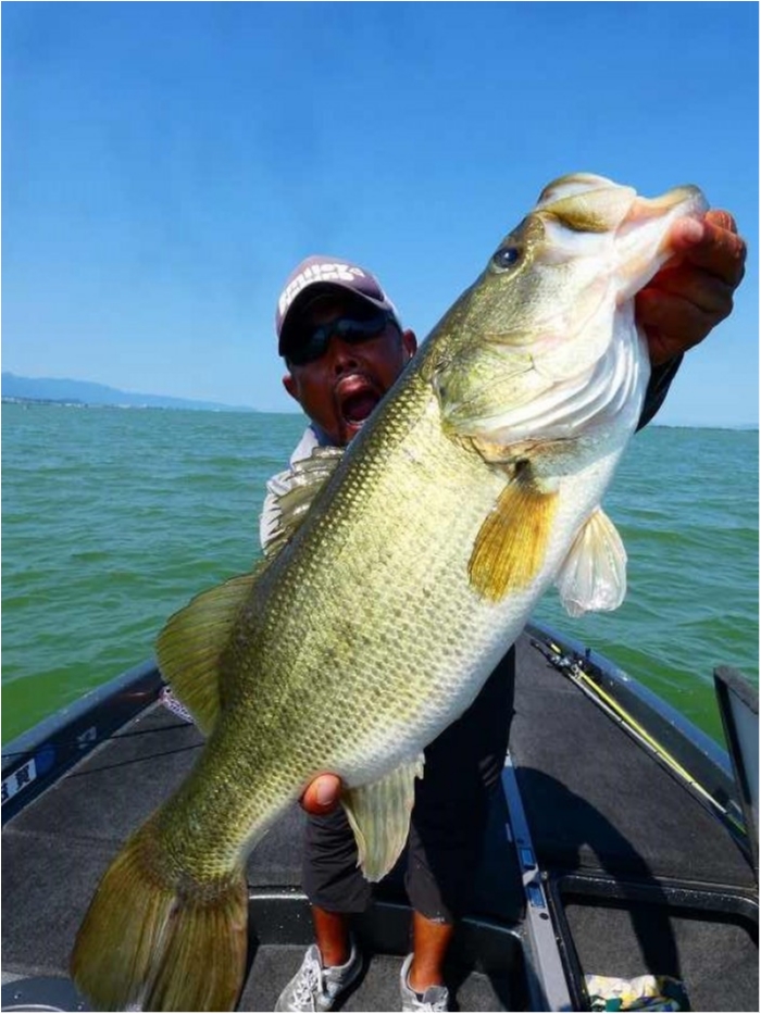 truth  ブログ写真 2018/08/03