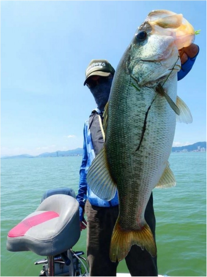 truth  ブログ写真 2018/08/03