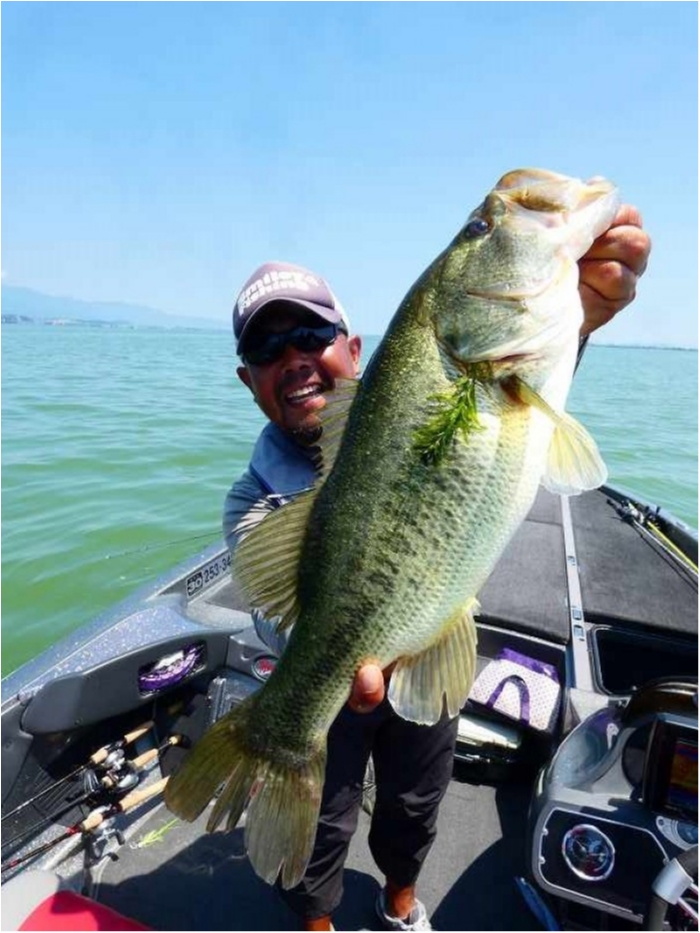 truth  ブログ写真 2018/08/03