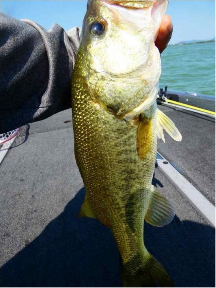 truth  ブログ写真 2018/08/03