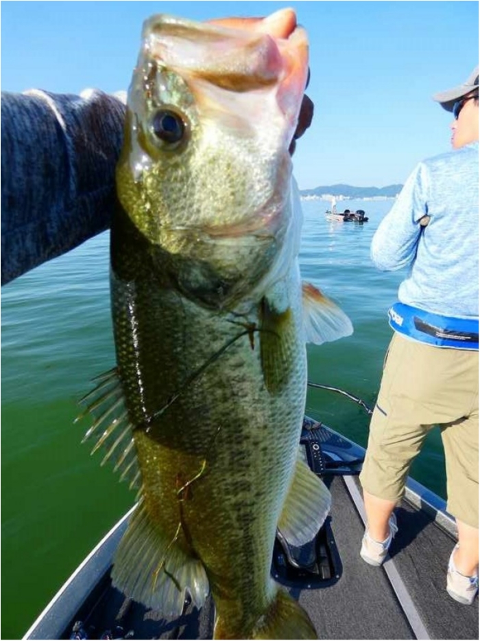 truth  ブログ写真 2018/08/04