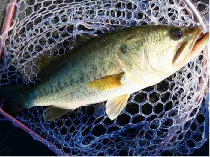 truth  ブログ写真 2018/08/04