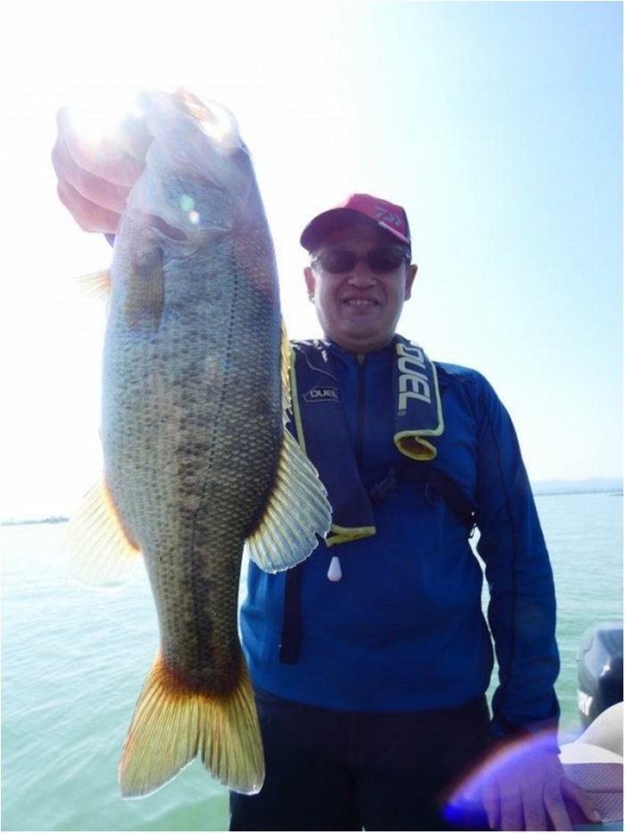 truth  ブログ写真 2018/08/04