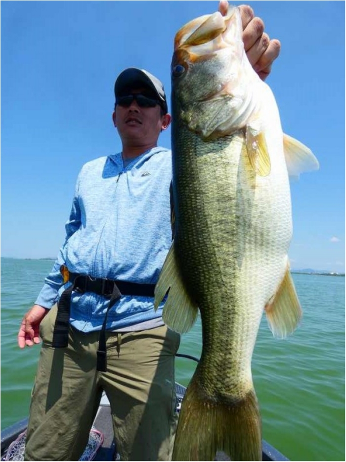 truth  ブログ写真 2018/08/04