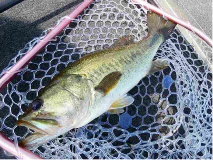 truth  ブログ写真 2018/08/05