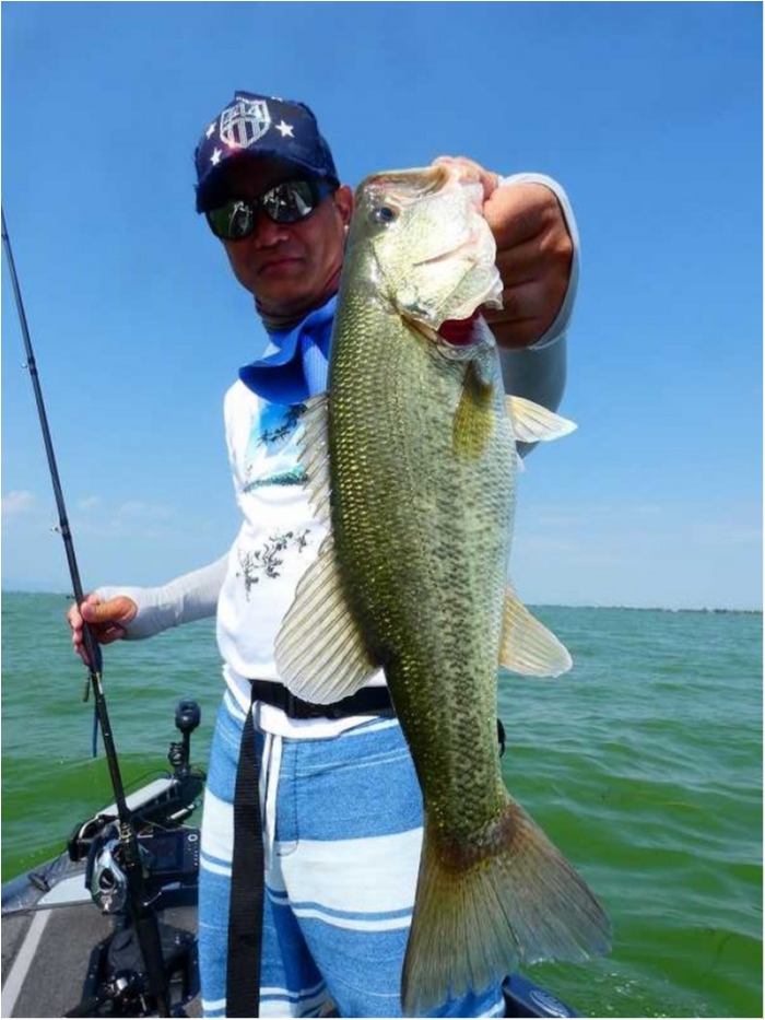 truth  ブログ写真 2018/08/05