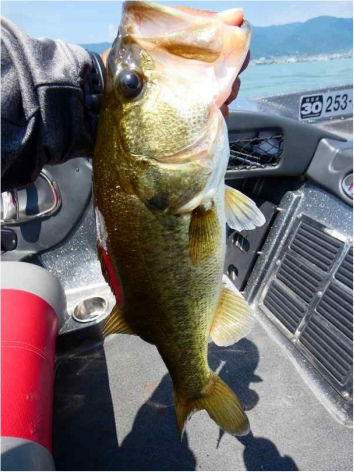 truth  ブログ写真 2018/08/05