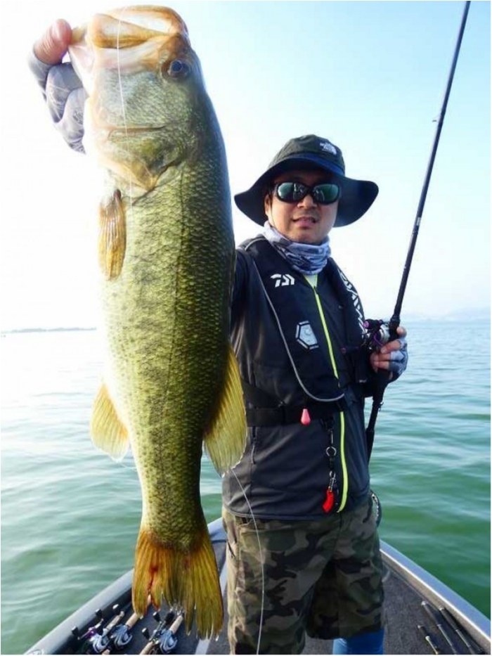 truth  ブログ写真 2018/08/06