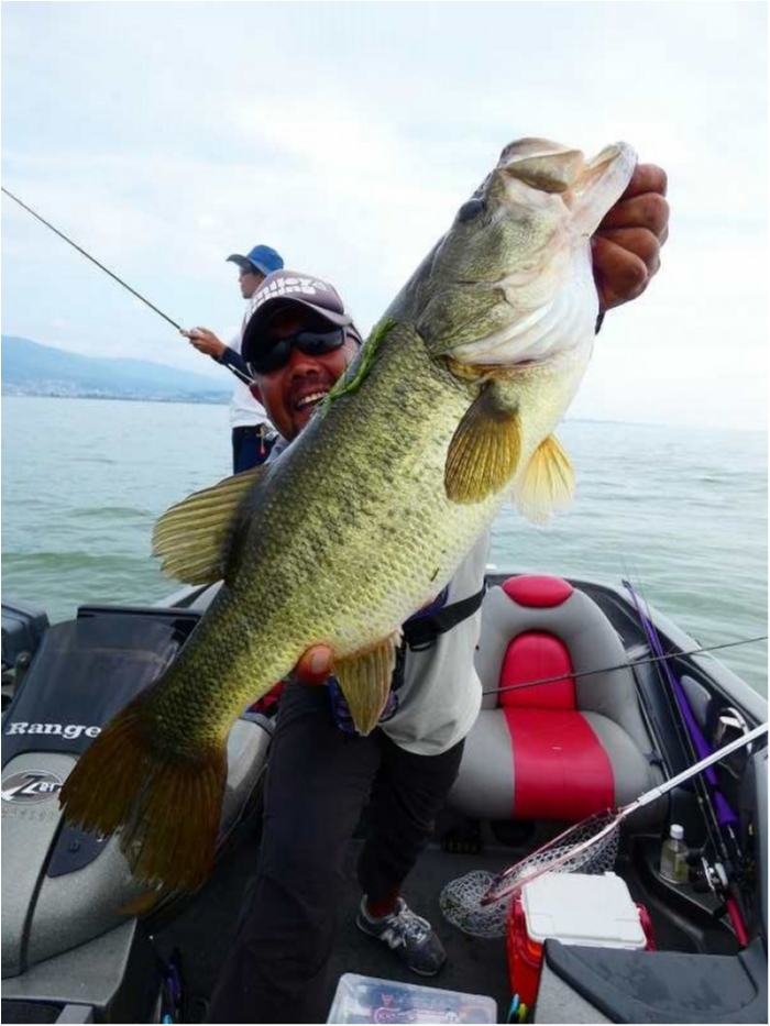 truth  ブログ写真 2018/08/06