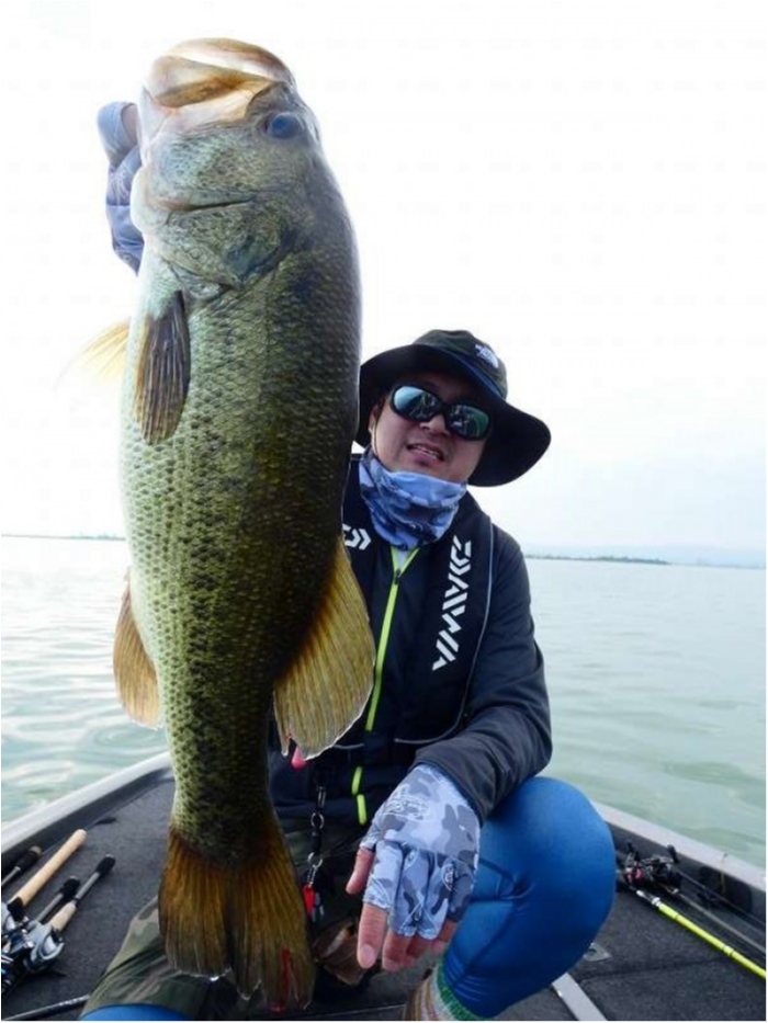 truth  ブログ写真 2018/08/06