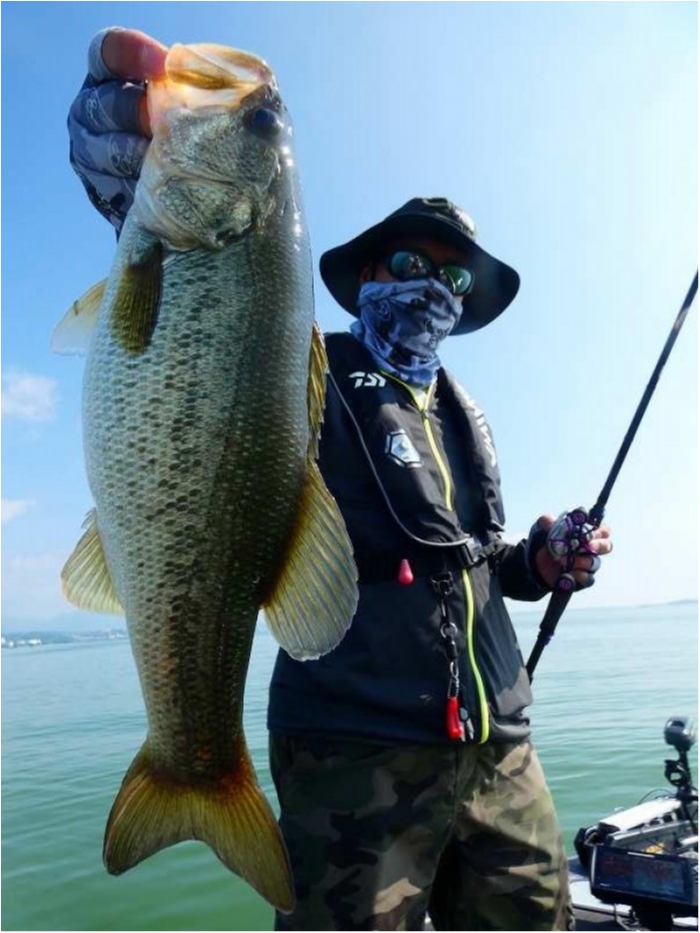 truth  ブログ写真 2018/08/06