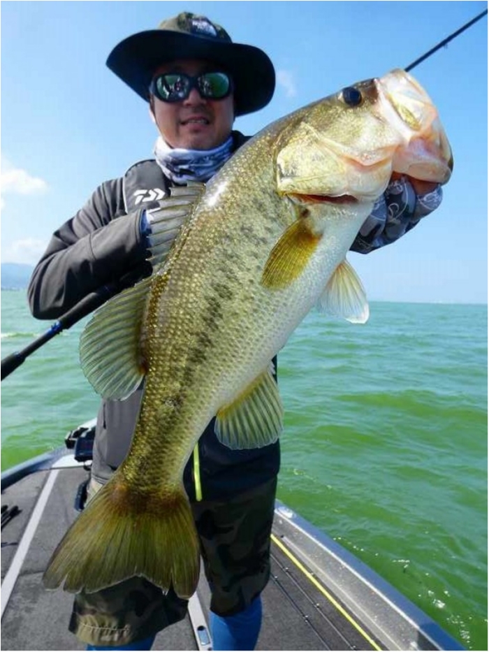 truth  ブログ写真 2018/08/06