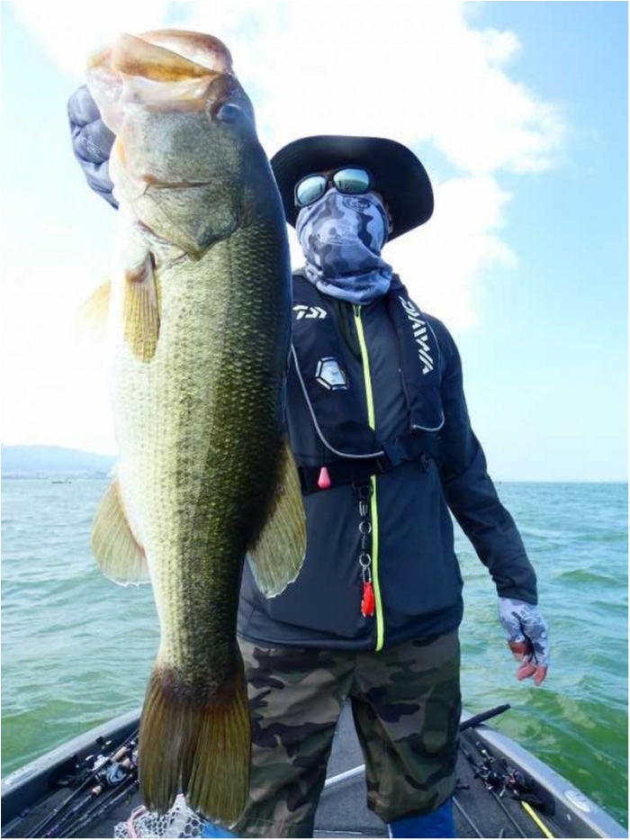 truth  ブログ写真 2018/08/06