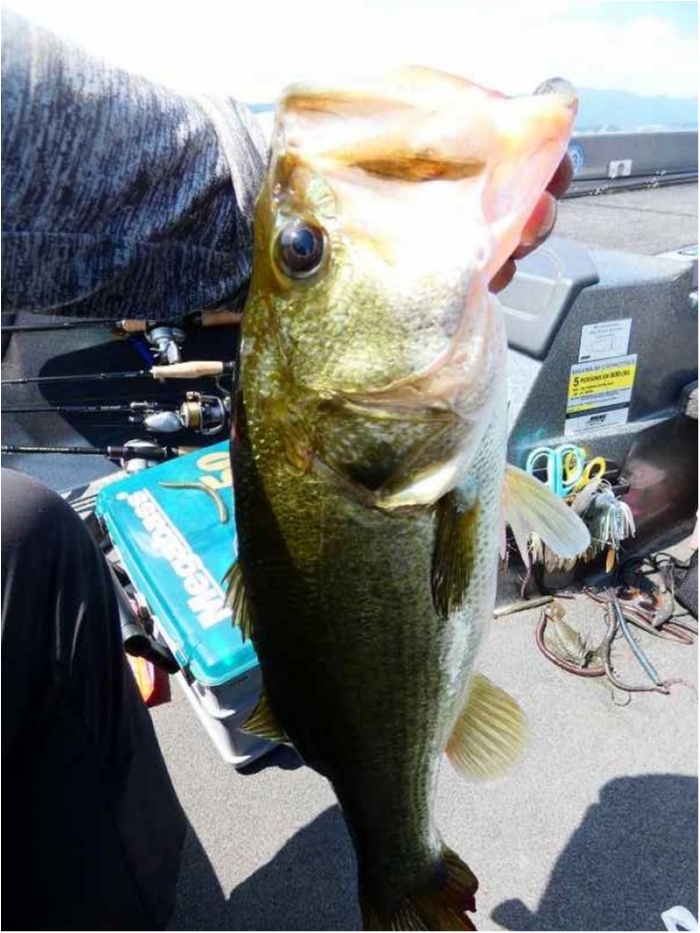 truth  ブログ写真 2018/08/07