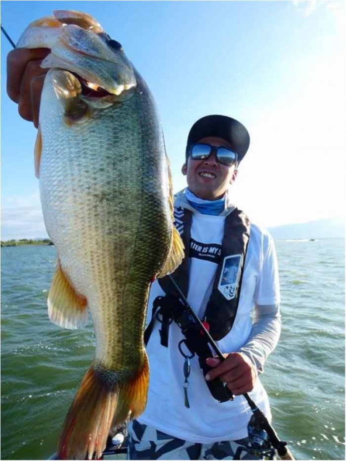 truth  ブログ写真 2018/08/08