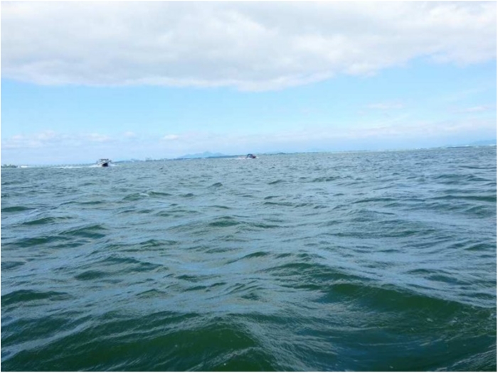 truth  ブログ写真 2018/08/08