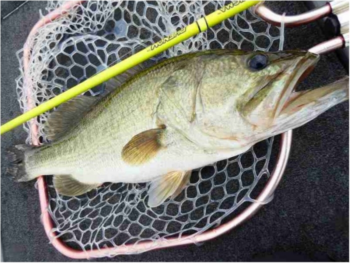 truth  ブログ写真 2018/08/09