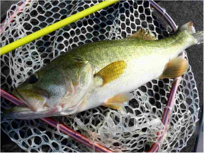 truth  ブログ写真 2018/08/09