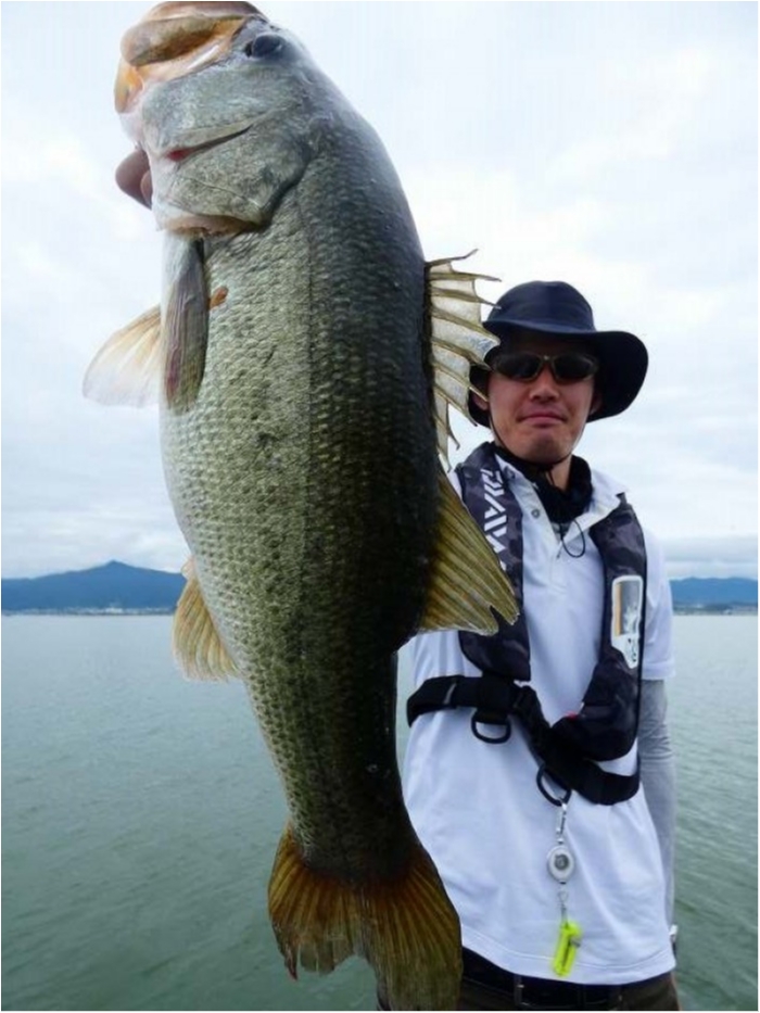 truth  ブログ写真 2018/08/11