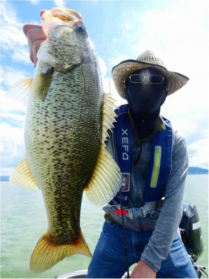 truth  ブログ写真 2018/08/11