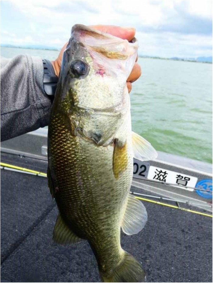 truth  ブログ写真 2018/08/11