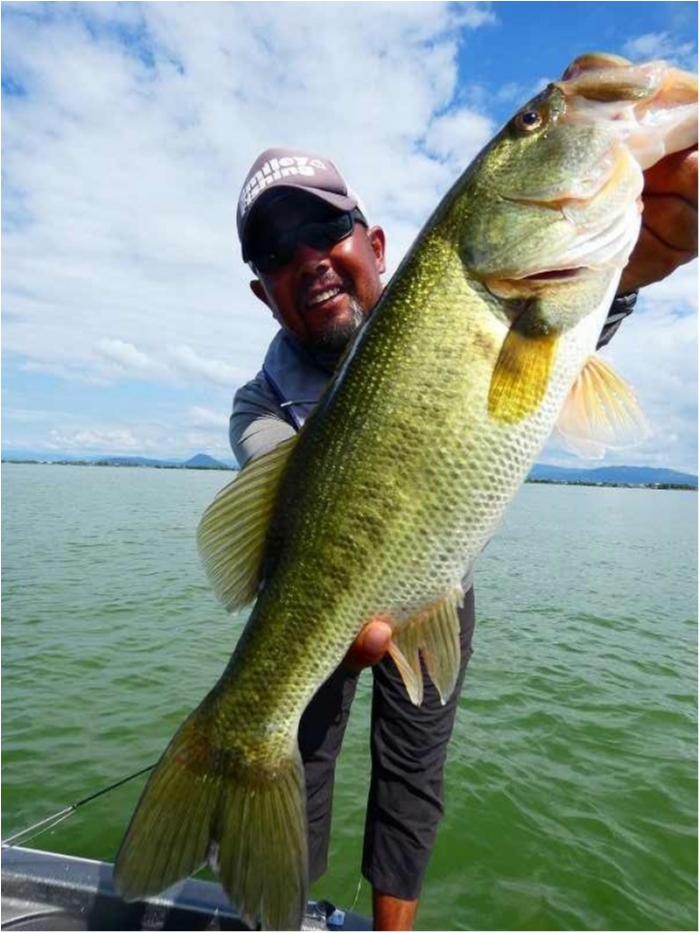 truth  ãã­ã°åç 2018/08/11