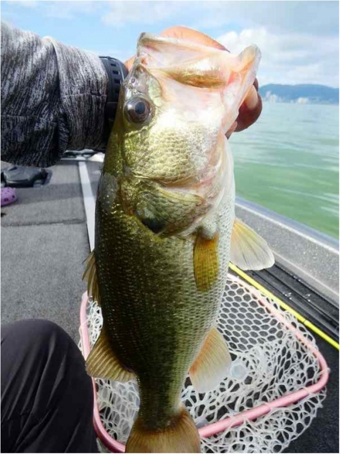 truth  ブログ写真 2018/08/12