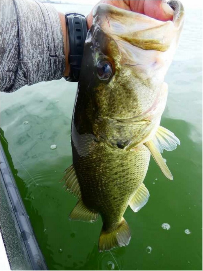 truth  ブログ写真 2018/08/12