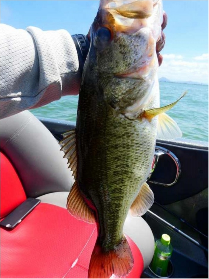 truth  ブログ写真 2018/08/13