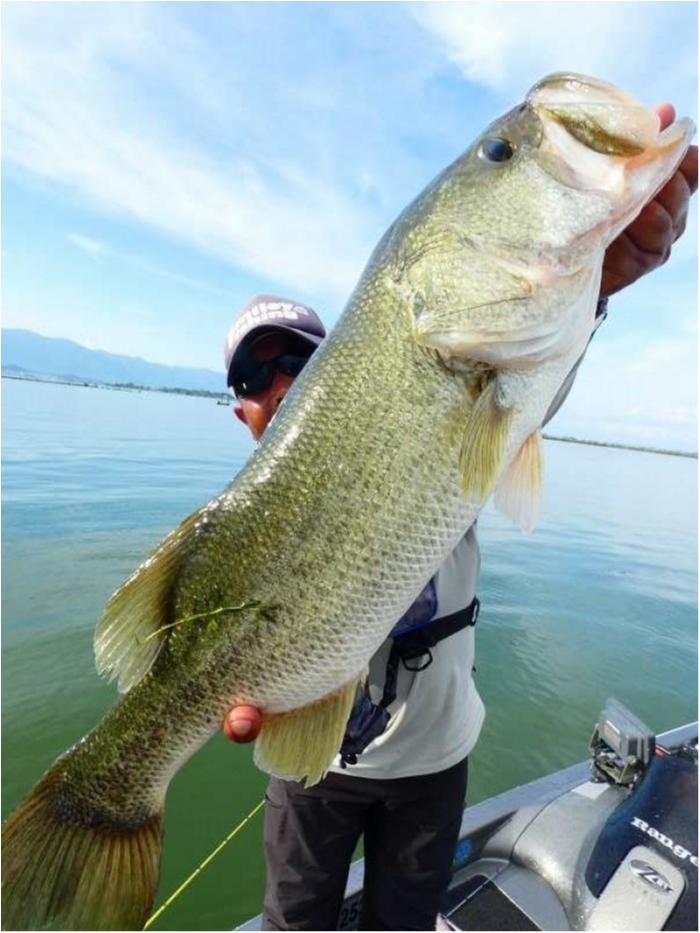 truth  ブログ写真 2018/08/13