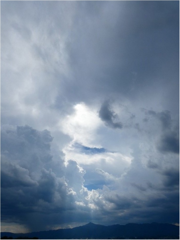 truth  ブログ写真 2018/08/13