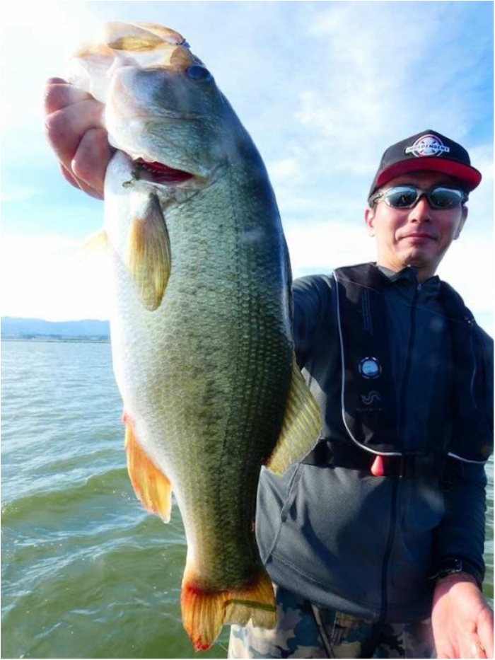 truth  ブログ写真 2018/08/14