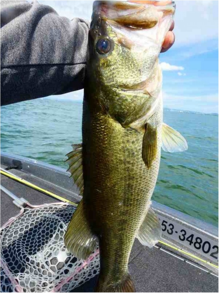 truth  ブログ写真 2018/08/14