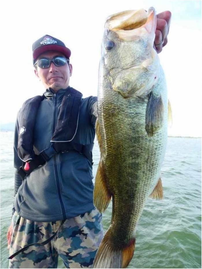 truth  ブログ写真 2018/08/14