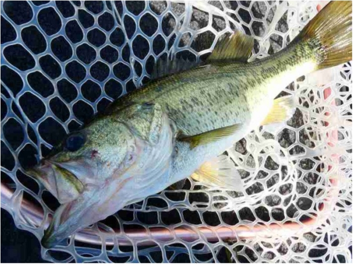 truth  ブログ写真 2018/08/14