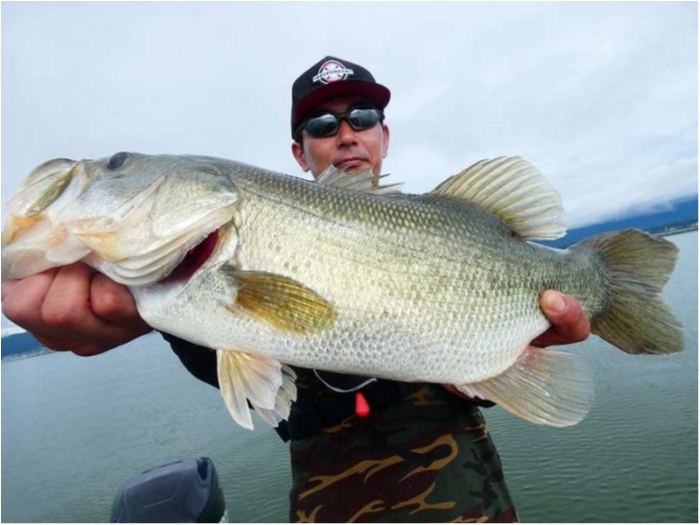 truth  ブログ写真 2018/08/15