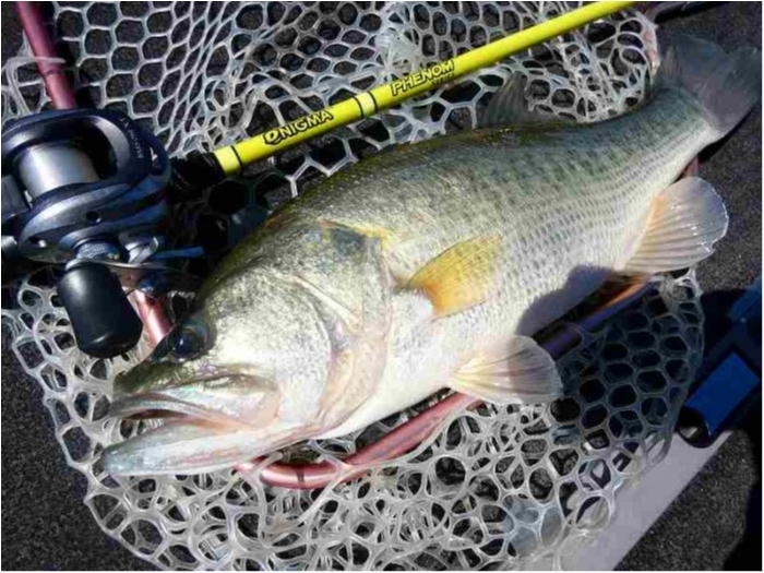 truth ブログ写真 2018/08/17