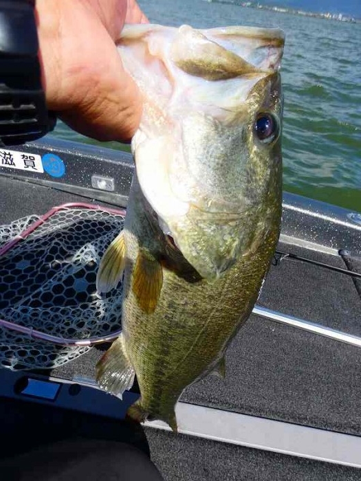 truth ブログ写真 2018/08/17