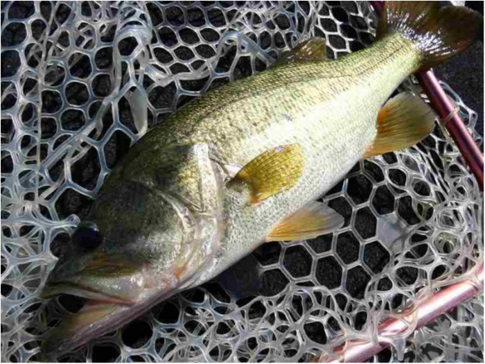 truth ブログ写真 2018/08/17